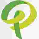 محوطه سازی پاسیو