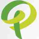 محوطه سازی پاسیو، طراحی و اجرای فضای سبز نژاد صالحی در گیلان