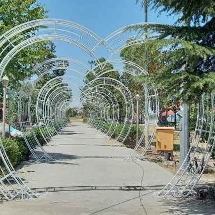 1741762442597.webp 1741762442597.webp