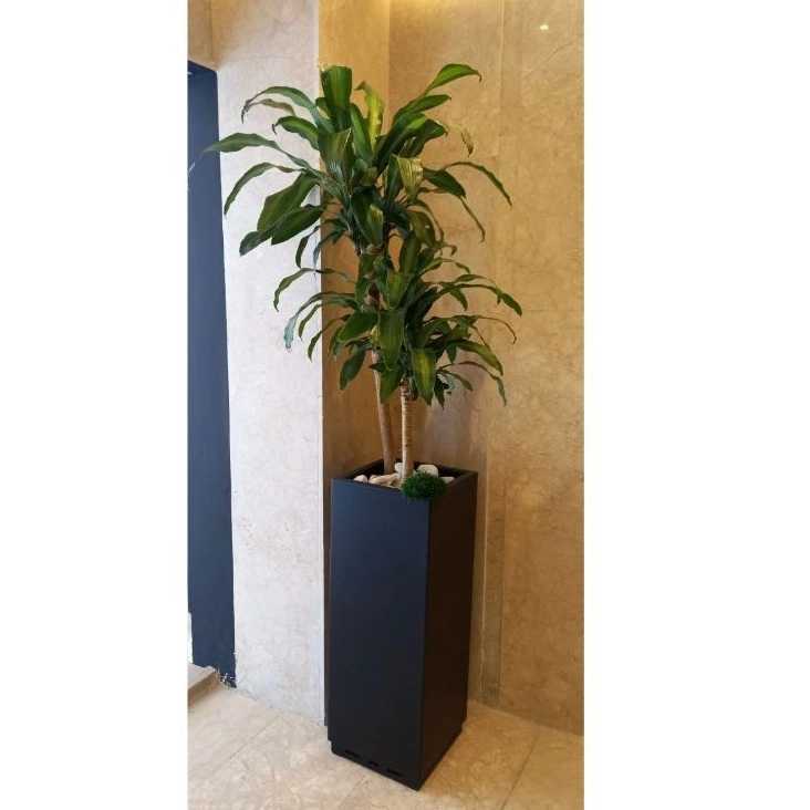 1741762570759.webp 1741762570759.webp