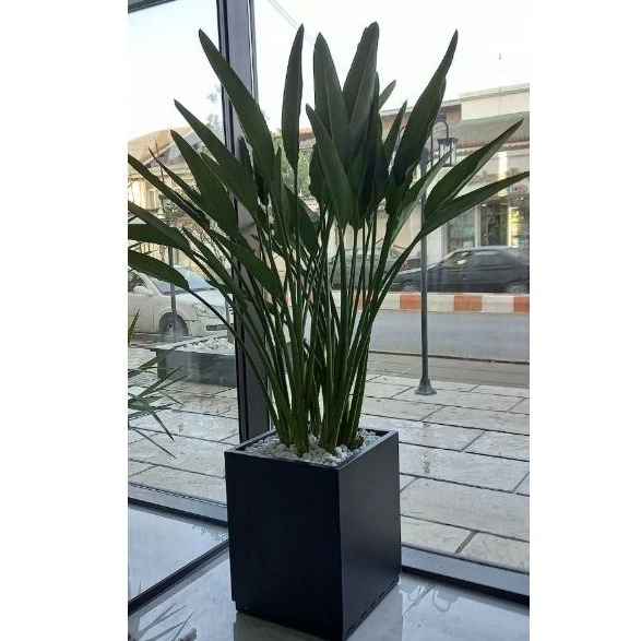 1741762591129.webp 1741762591129.webp