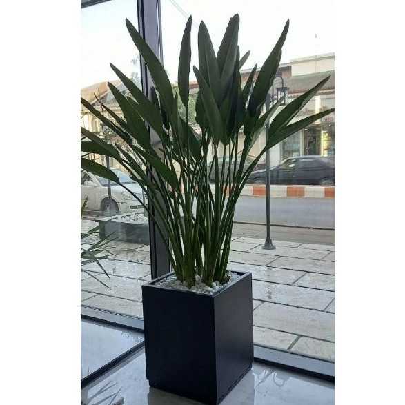 1741762591129.webp 1741762591129.webp