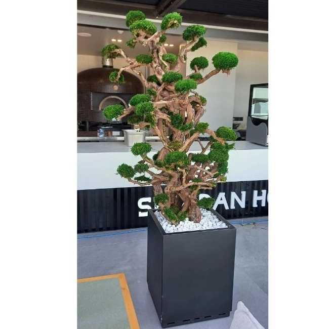 1741762611597.webp 1741762611597.webp