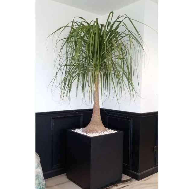 1741762628951.webp 1741762628951.webp