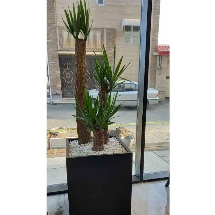 1741762654534.webp 1741762654534.webp